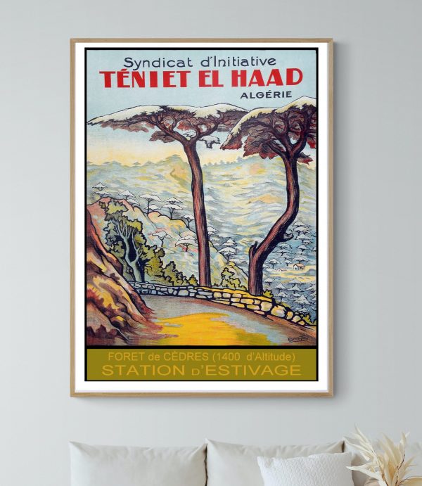 Affiche vintage représentant Téniet El Haad en Algérie, 40x60 cm, illustrant la station d'estivage e.