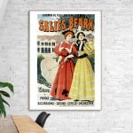 Affiche vintage Salies Béarn, illustration colorée pour décoration murale rétro.